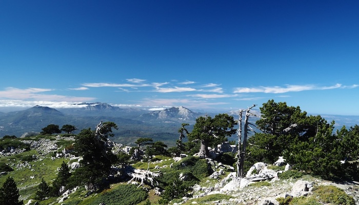 Parco Nazionale del Pollino Basilicata
